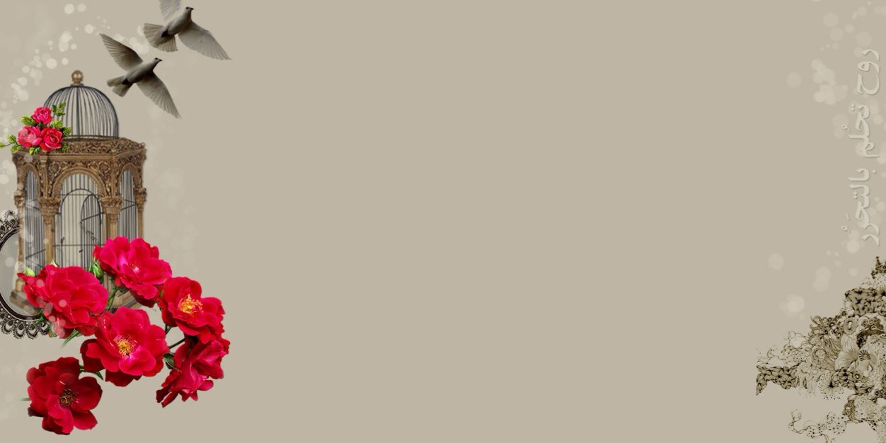 x4_bob's profile banner image