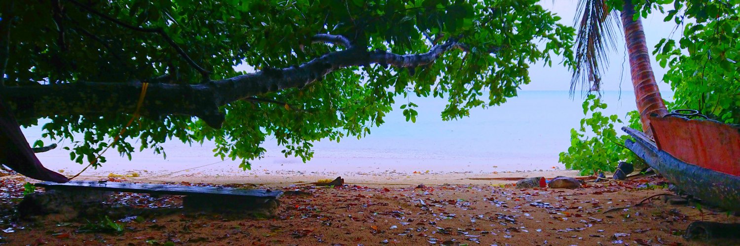 ray_nu_ka's profile banner image
