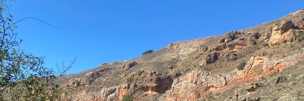 Iliana Olivié banner