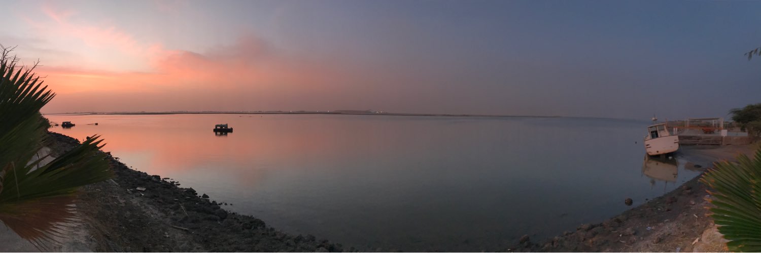 Alexandre coster banner