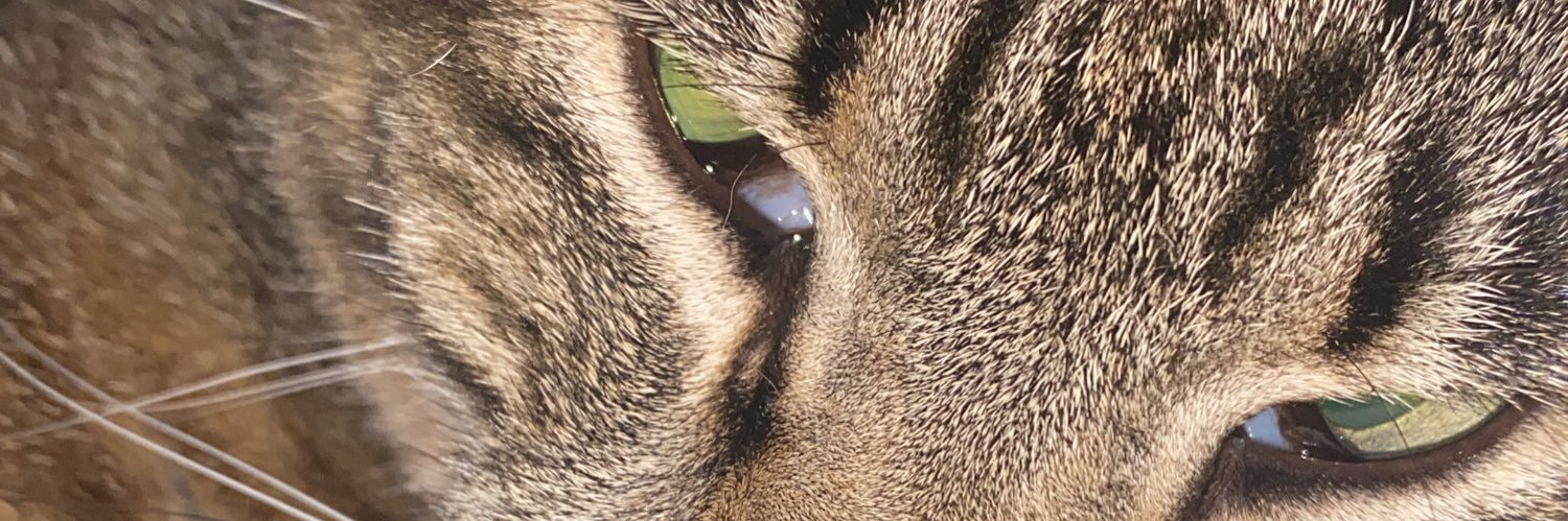 BiancaLambert's profile banner image