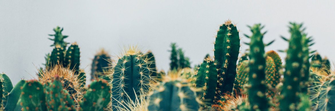 myowndisco's profile banner image