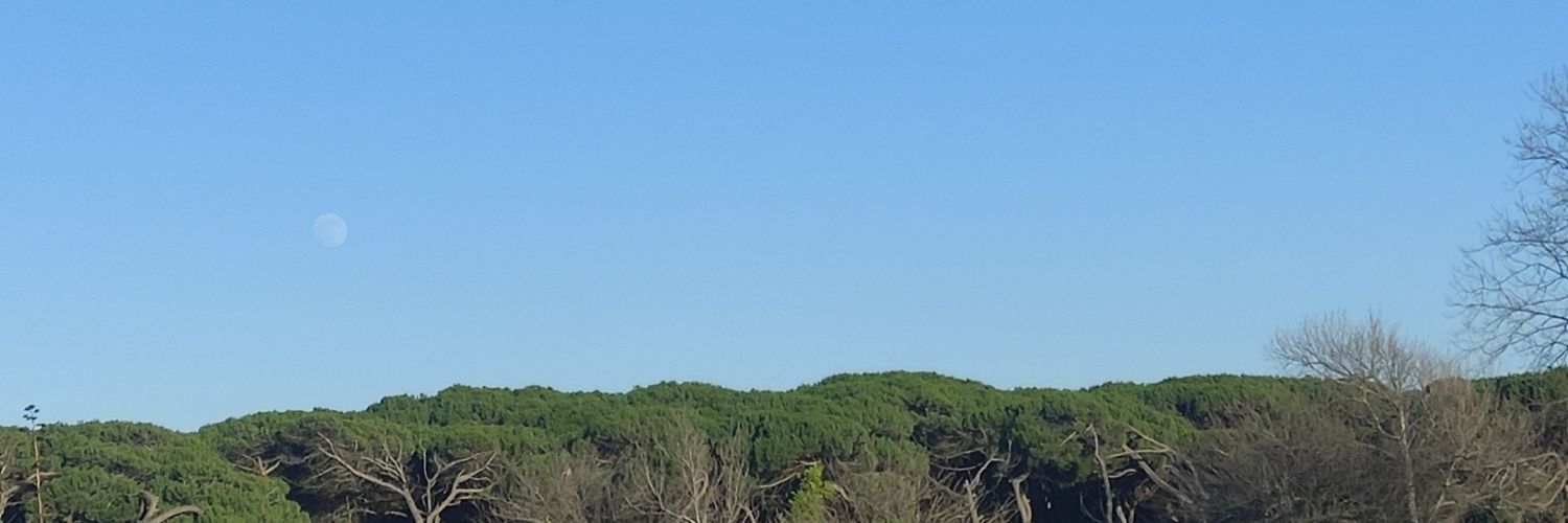M de Mahtuerso banner