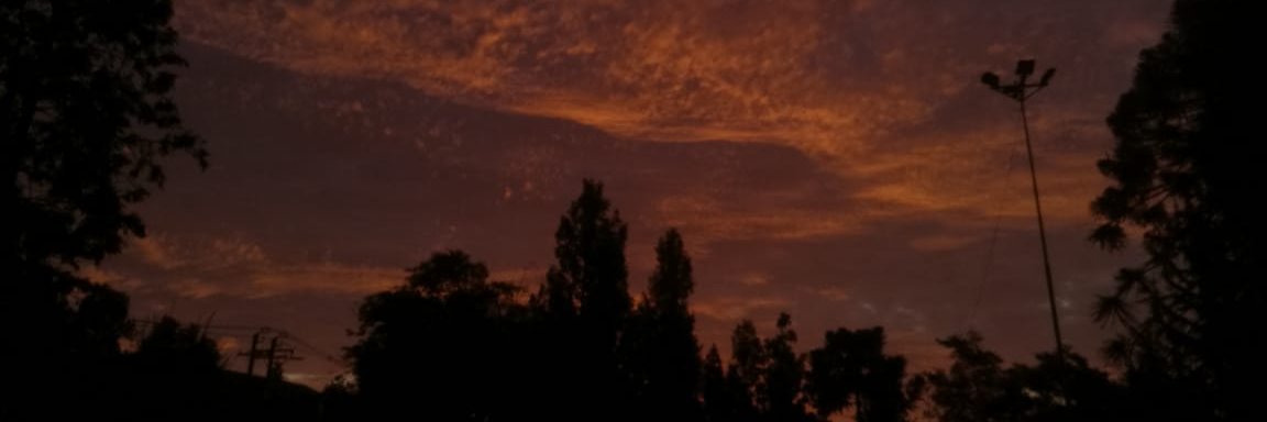 Alex.shiet banner