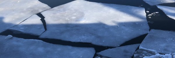 MFBazzo Profile Banner