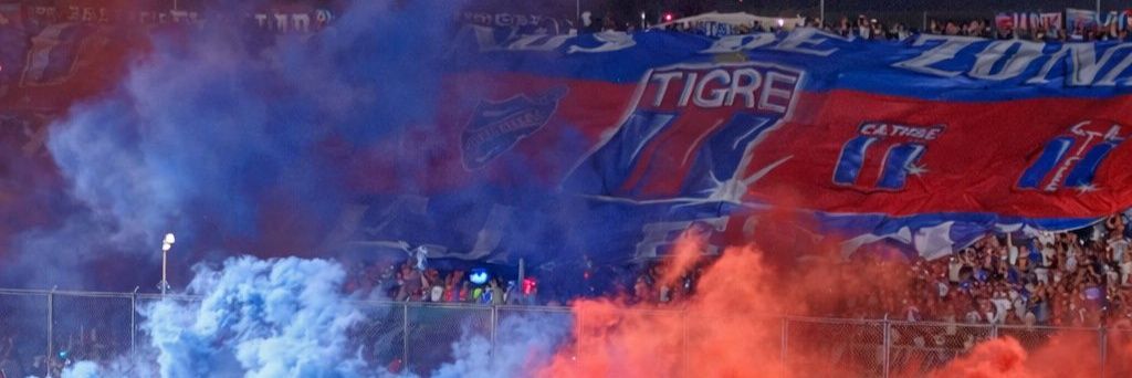 M a r t o⭐🐯 banner