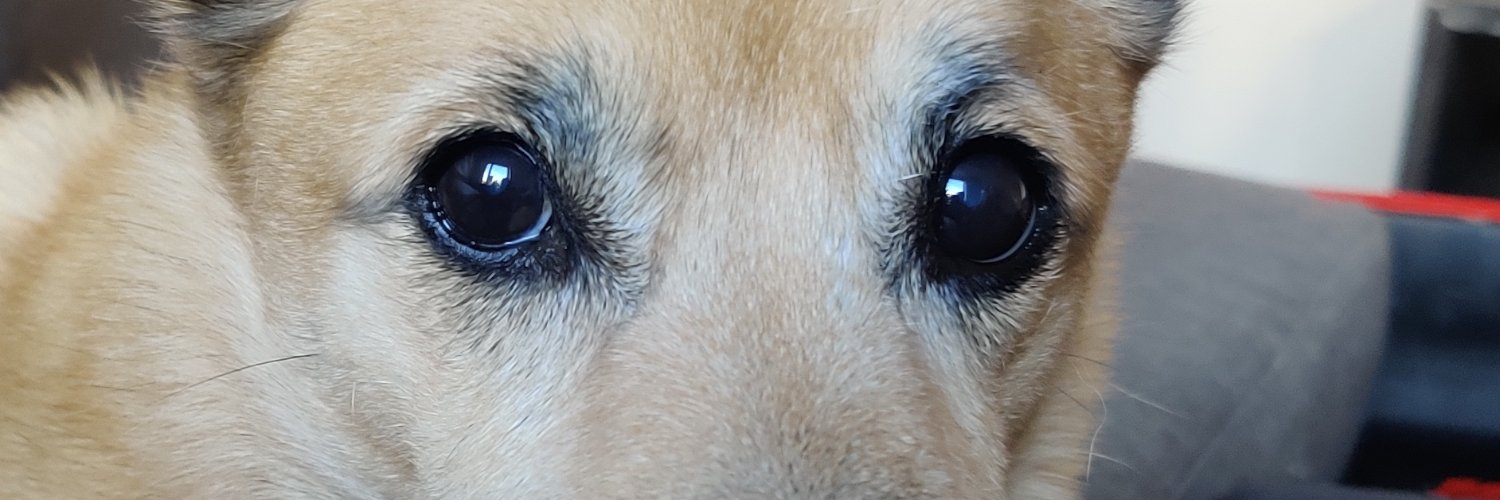 cryvitech's profile banner image