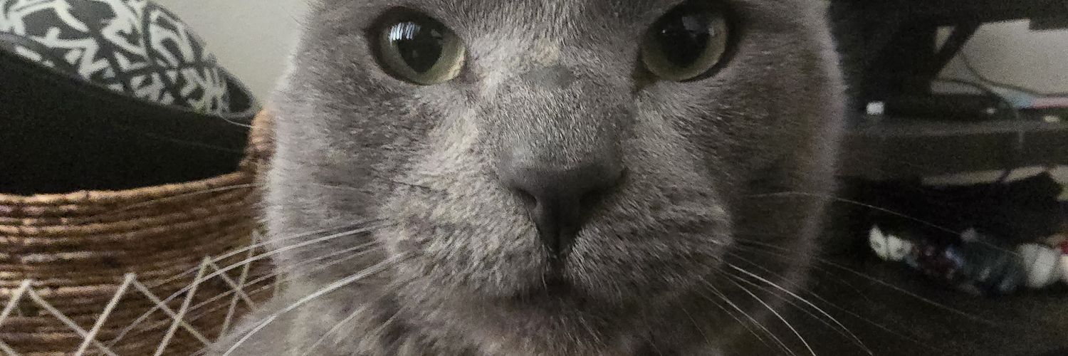 rand13sel's profile banner image