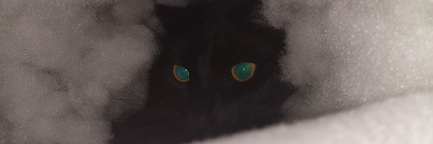 phollepet2's profile banner image