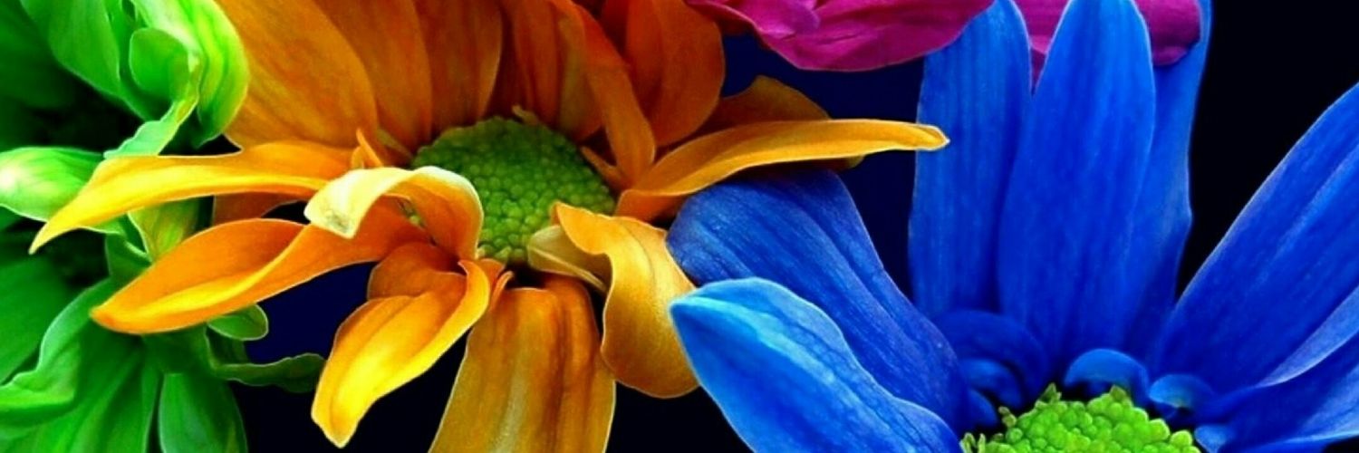 Crystal63155341's profile banner image