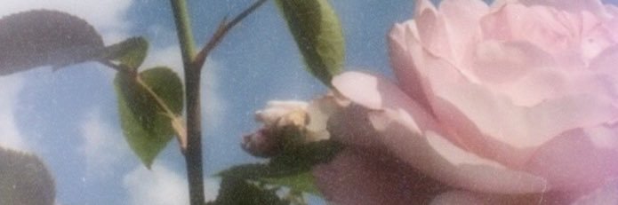 ohhappydolan's profile banner image