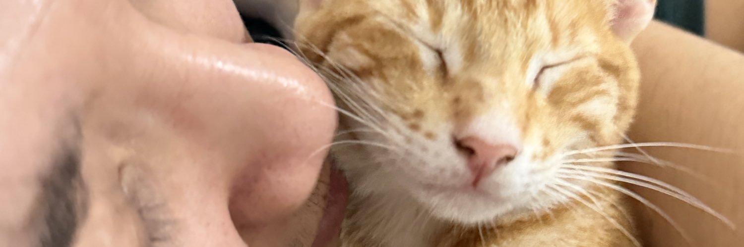ShaeNicole18's profile banner image