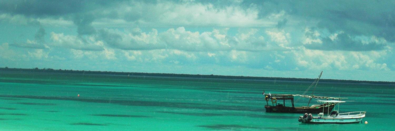 belladonnna's profile banner image