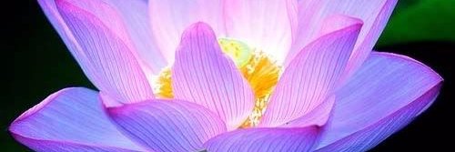 flms_rsanchez's profile banner image