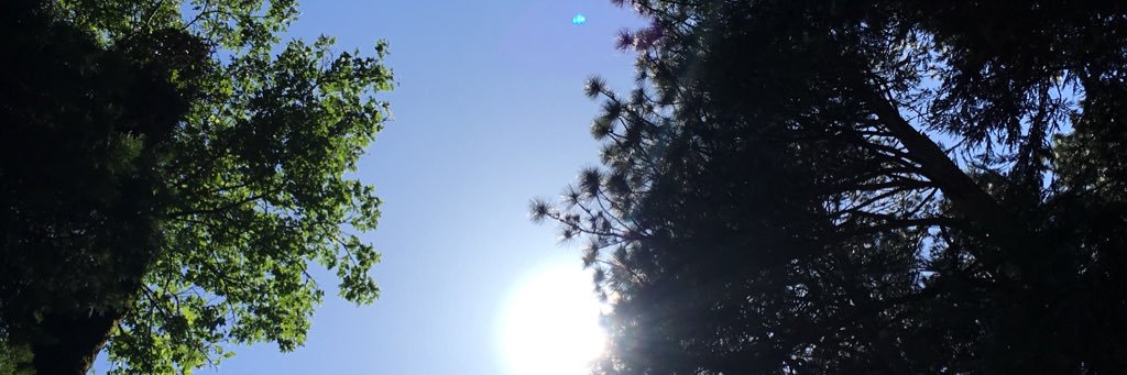 jamie_heeter's profile banner image