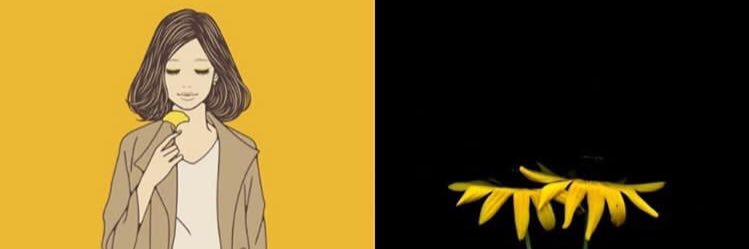 rahayunll's profile banner image