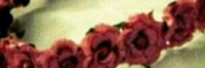 shmookh24's profile banner image