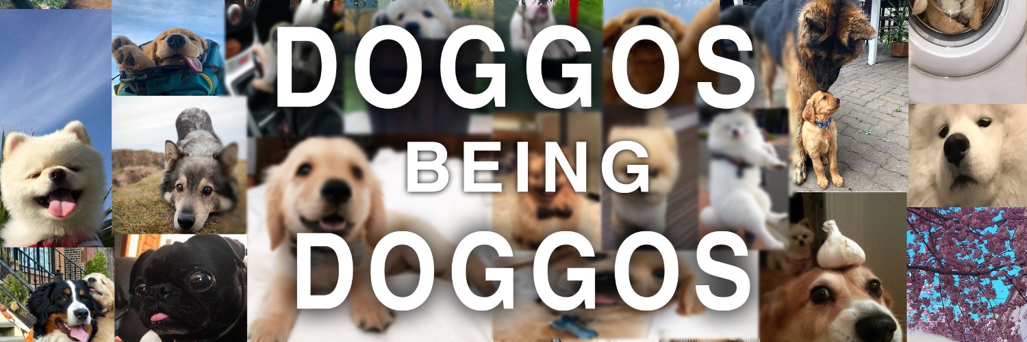 Doggos Being Doggos banner