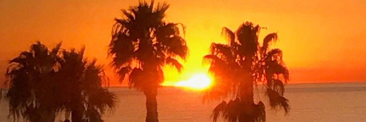 aaronlstein's profile banner image
