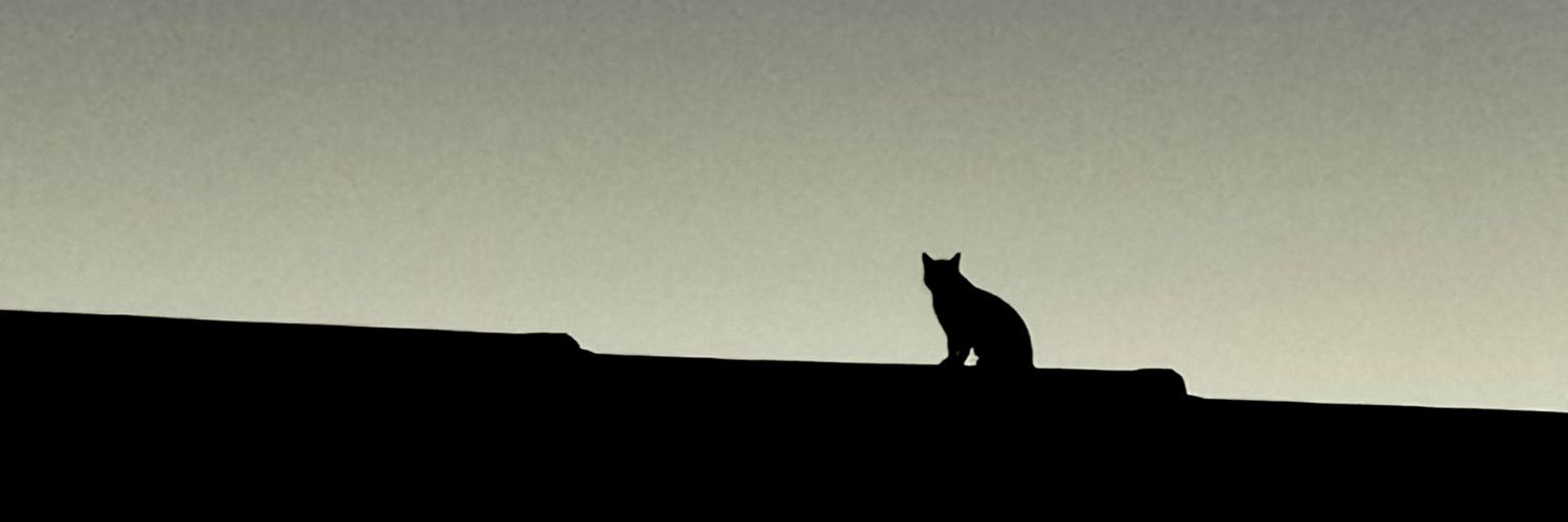 Tazgond's profile banner image