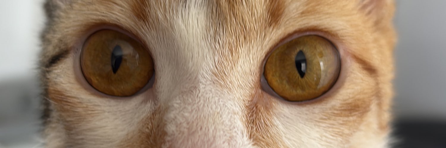 leforte_s's profile banner image