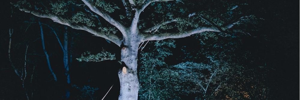 VilijaStephens's profile banner image