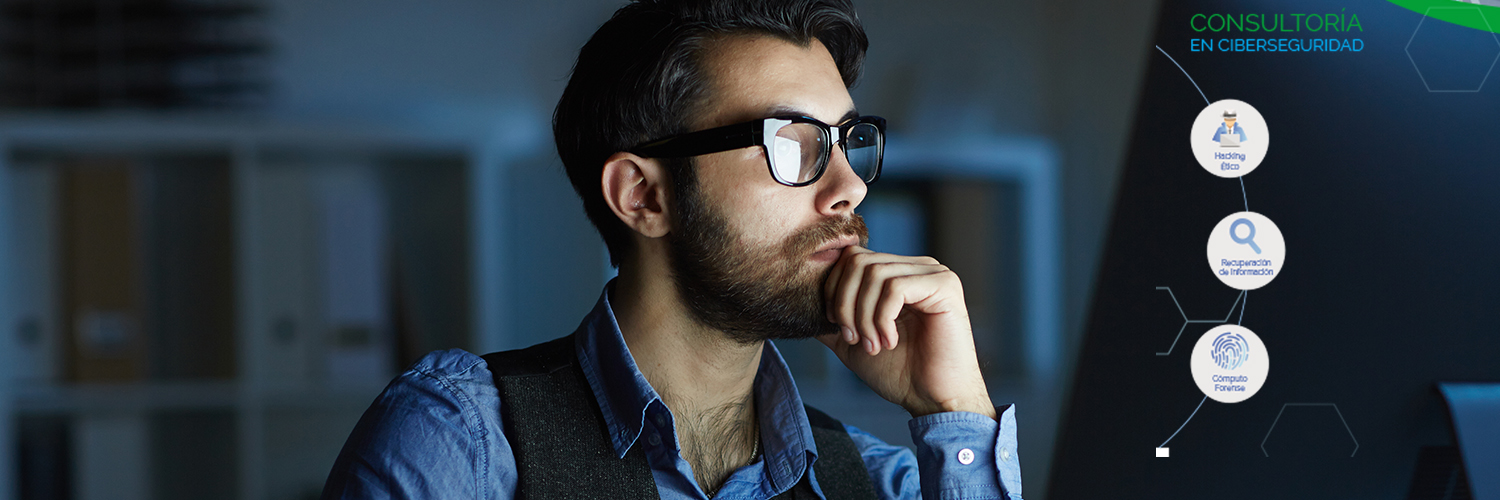 Consulting Systems banner