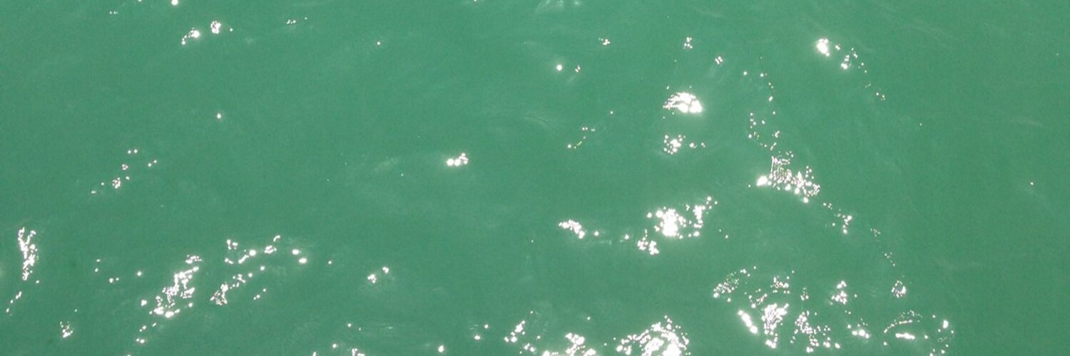 BeerrBiere's profile banner image