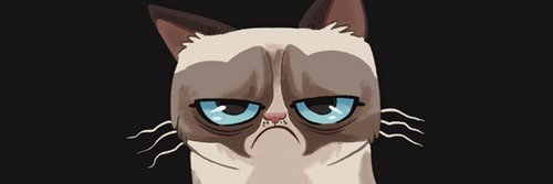 la_uchuva's profile banner image