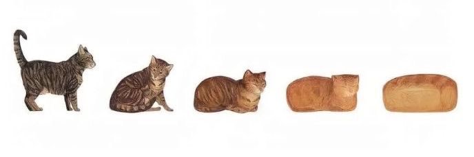 catsumon's profile banner image
