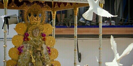 mcuestarojas's profile banner image