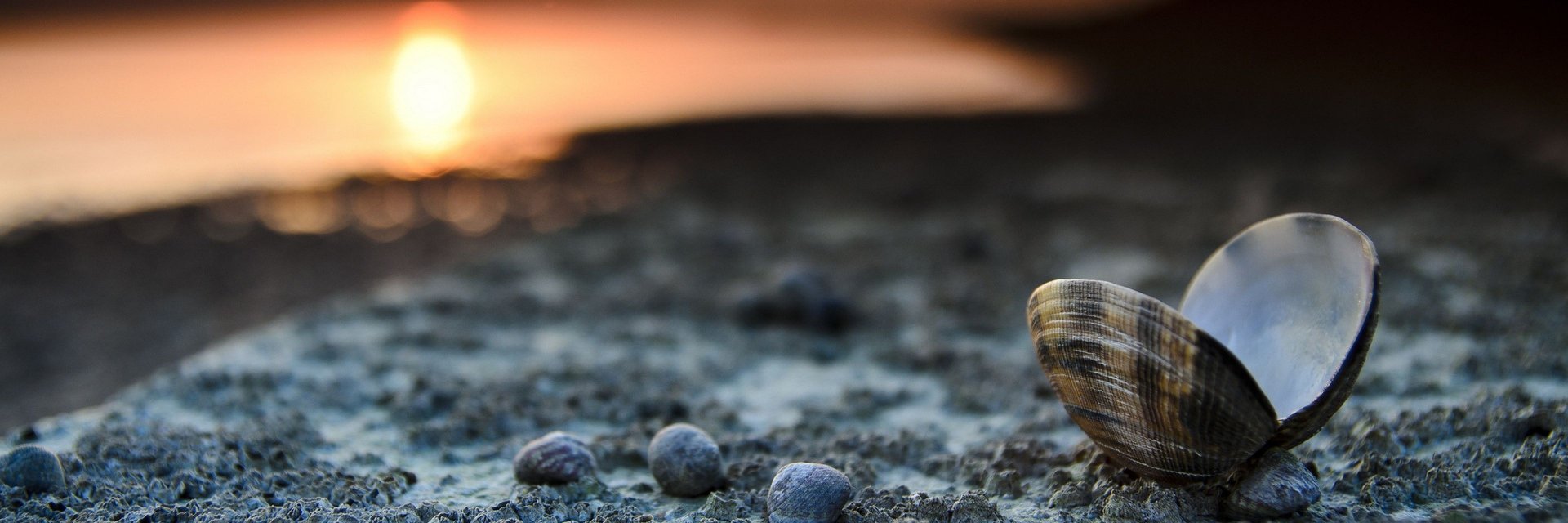 CryptoPebble's profile banner image