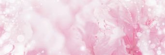skylerXD44's profile banner image