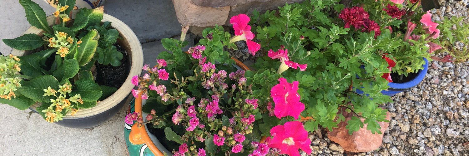 Michelle Kress Stanton banner