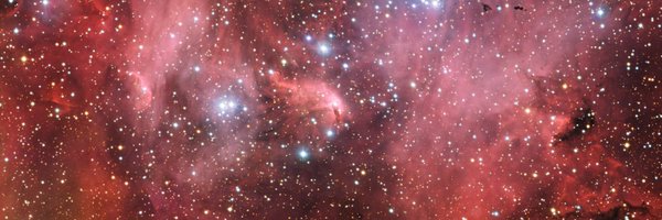 Tanialicious Profile Banner