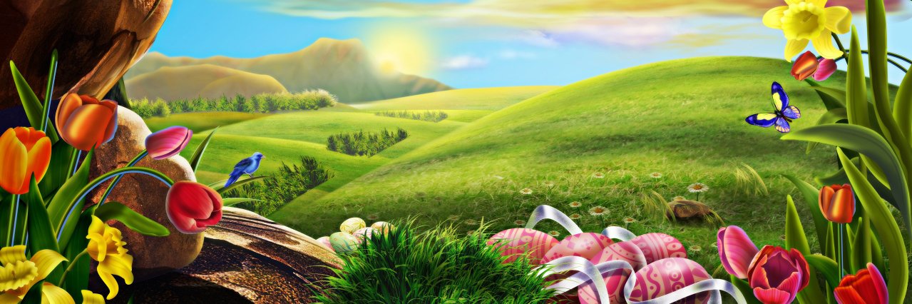 Divia_DM's profile banner image
