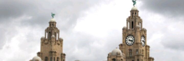loopylauna's profile banner image