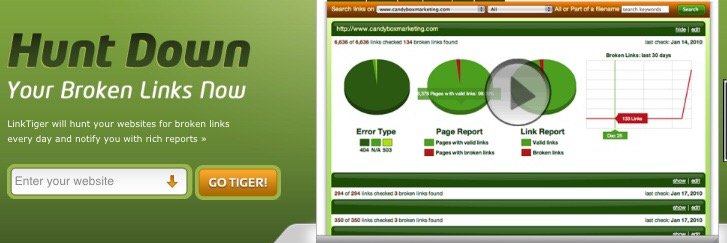 Link_Tiger's profile banner image