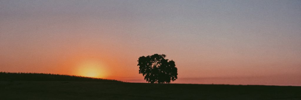 GabiMustafa's profile banner image