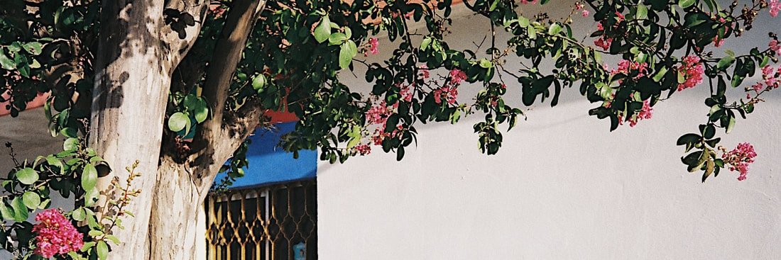 pøst banner