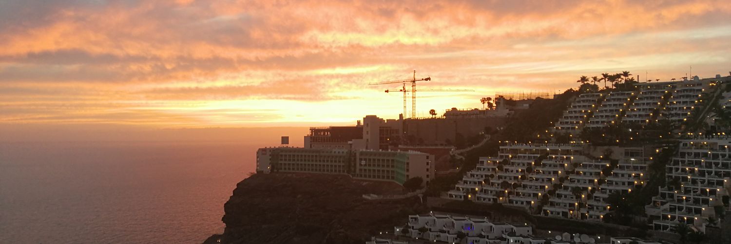 Sarah Fedrigo banner