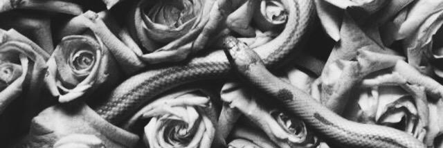 raimen__'s profile banner image
