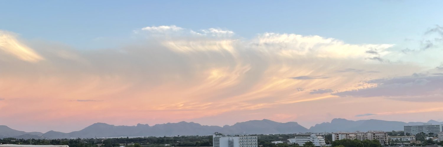 mollyjohnson0's profile banner image