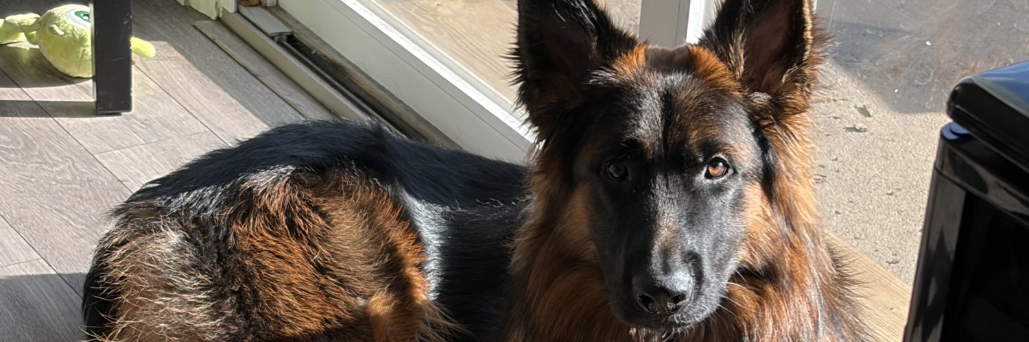 dbauer333's profile banner image