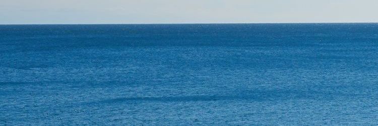 eviguankenovi banner