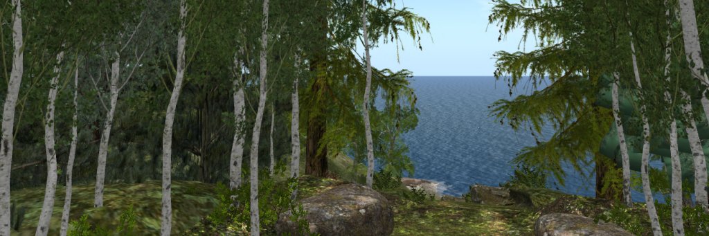 DeliaLake's profile banner image