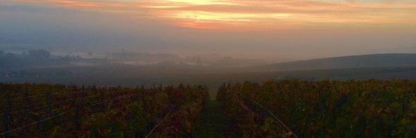 Gaston_Chiquet Profile Banner