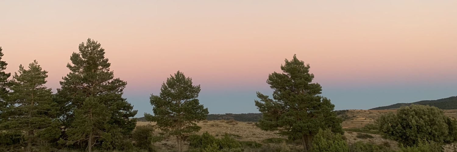aitanasenen's profile banner image