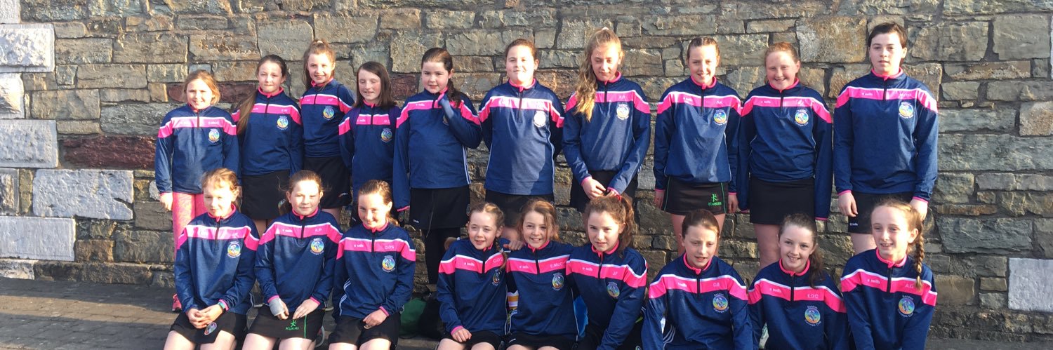 Bandon Camogie Club banner