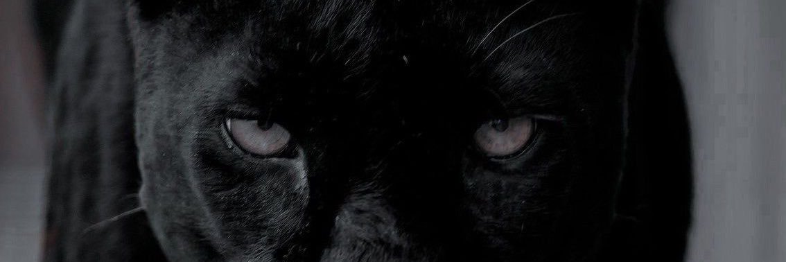 dorm77's profile banner image